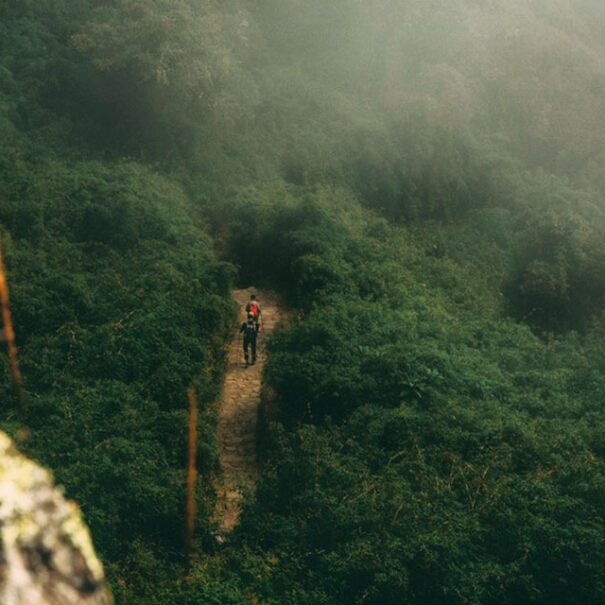 doing the Inca Trail towards Machu Picchu